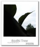 Bodhi Tree