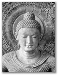 Shakyamuni Buddha Image