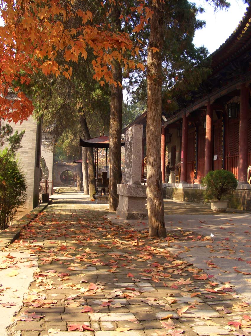 Buddhist temple　這是西安興教寺